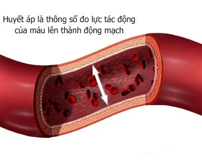 Hướng dẫn cách đọc thông số của máy đo huyết áp – Y Tế Sơn Hương