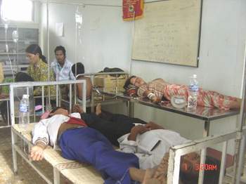 Thời gian ủ bệnh cúm H5N1 ngày càng dài
