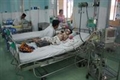 Tại TP.HCM đã có 50% phường, xã xuất hiện dịch sốt xuất huyết