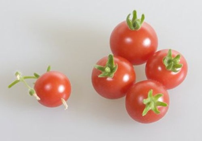 3. Cà chua làm giảm calo 1