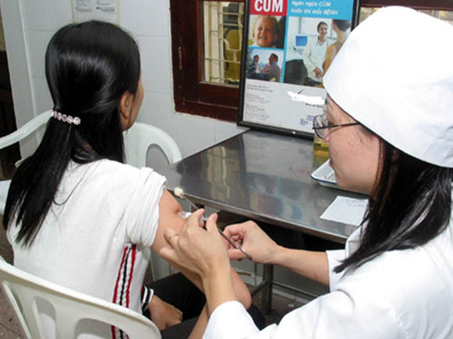 Việt Nam chuẩn bị ứng phó với dịch cúm mới 1