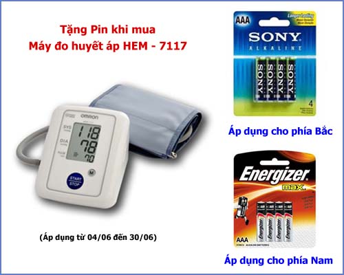 Khuyến mại khi mua Máy đo huyết áp HEM - 7117. 1