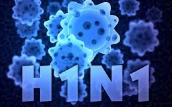Cúm A/H1N1 nguy hiểm như thế nào? 1